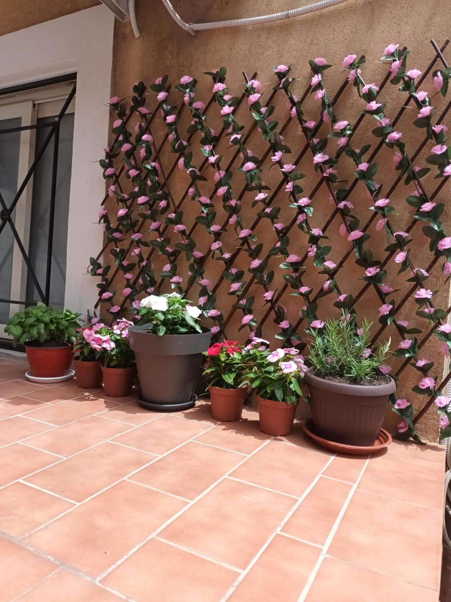 Le Case Del Cortile Catania Eksteriør bilde